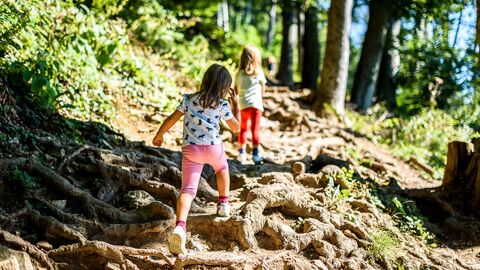 Zwei kleine Mädchen laufen einen Waldweg hoch Zwei kleine Mädchen laufen einen Waldweg hoch