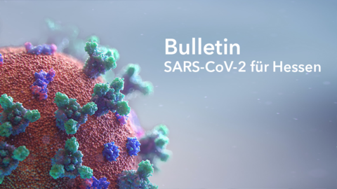 3D Ansicht eines SARS CoV2 Virus